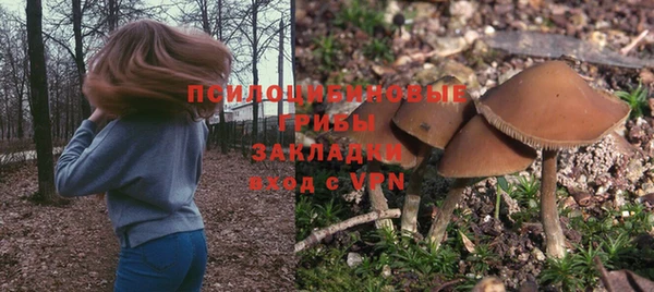 герыч Инта