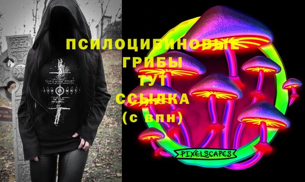 твердый Абаза
