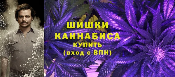 твердый Абаза