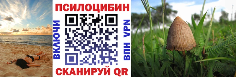Псилоцибиновые грибы Magic Shrooms Тетюши